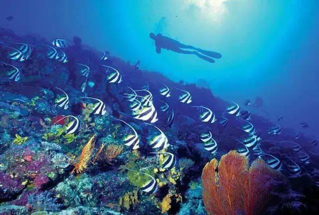 逃出海滩度假胜地